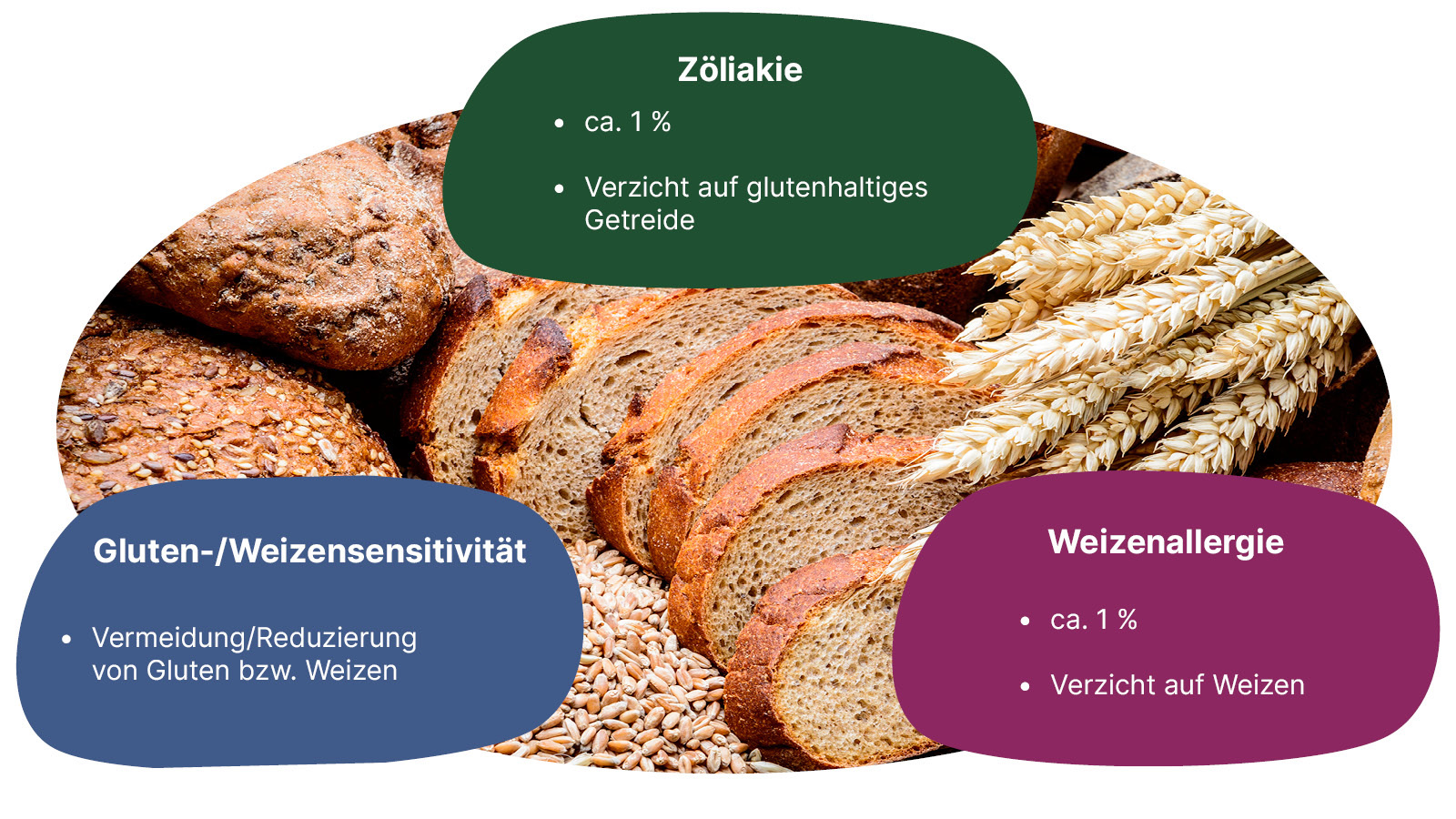 Verschiedene Brot- und Kornsorten, die eine Allergie auslösen können